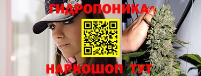 a pvp Апрелевка