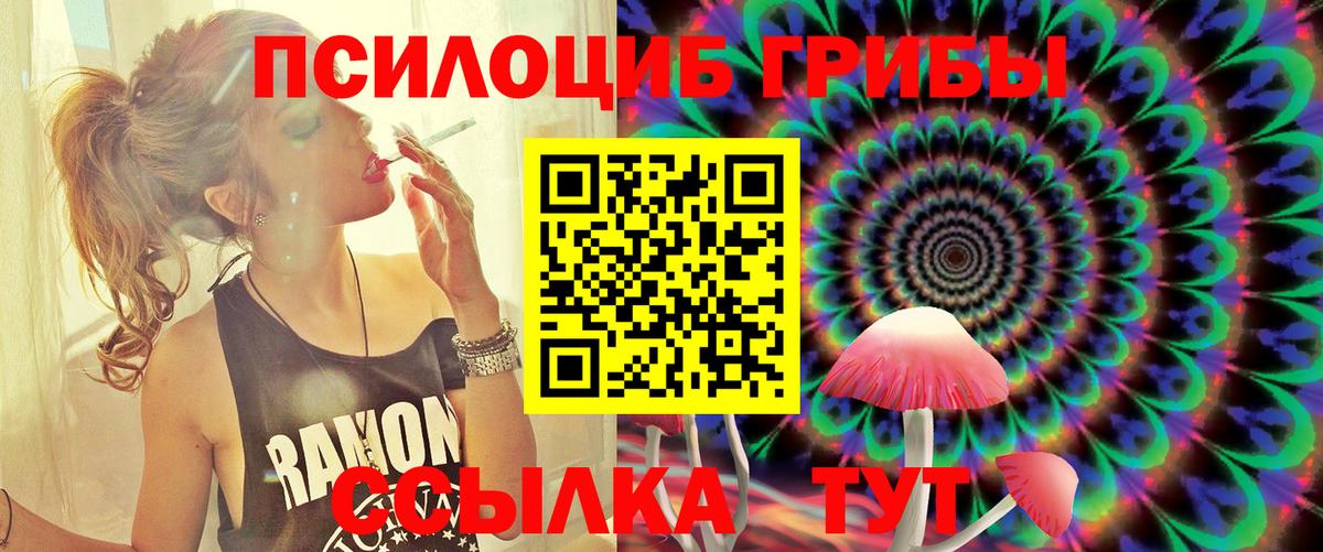 Псилоцибиновые грибы Psilocybe  Вход с VPN  даркнет сайт  Псилоцибиновые грибы Psilocybine cubensis  Мелеуз 